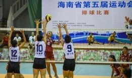 海南排球爆料最新消息,揭秘赛场风云与精彩瞬间